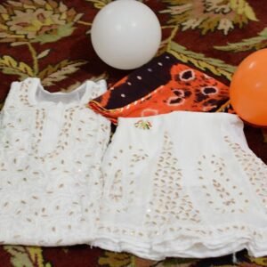 White Lucknowi Chikan Dress