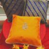 Classy Blue /Orange Cushion Covers