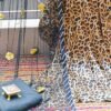 Leopard Print Kaftan Outfit