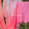 Lovely Dual Shade Pink Chikankari Outfit