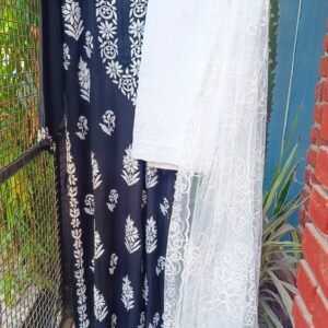 Royal Black Beauty Chikankari Outfit