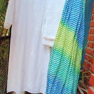 Calming White Multi Beautiful Chikankari Outfit