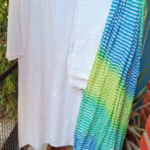 Calming White Multi Beautiful Chikankari Outfit