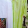 Refreshing fluorescent green Chikankari Outfit