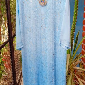 Remarkable Shaded Powder Blue Pure Viscose Georgette Chikankari Outfit
