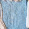 Remarkable Shaded Powder Blue Pure Viscose Georgette Chikankari Outfit