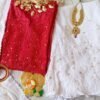 Breathtaking Cherry Red Chanderi Chikankari Outfit