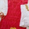 Breathtaking Cherry Red Chanderi Chikankari Outfit