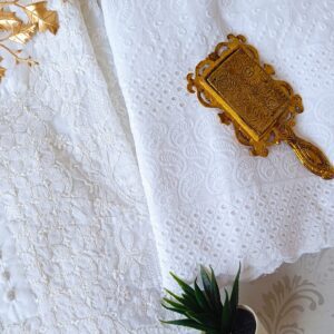 Marvellous White Blue Leheria Chikankari Outfit