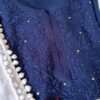 Flawless Navy Blue Mukaish Chikankari Outfit