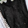 Splendid Black Mukaish Chikankari Outfit