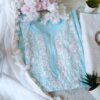 Pastel Mint Green Modal Chikankari Outfit