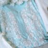 Pastel Mint Green Modal Chikankari Outfit