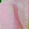 Subtle Baby Pink Modal Chikankari Outfit