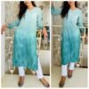 Astounding Chanderi Sea Green Shaded Chikankari Outfit