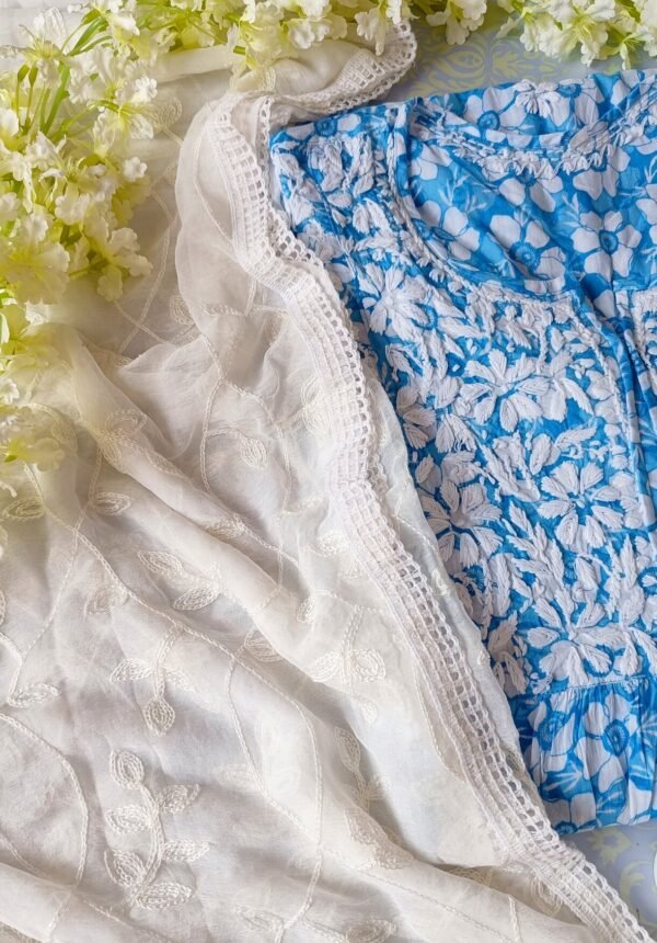 Pleasing Blue Summer Floral Nyra Cut Chikankari Outfit