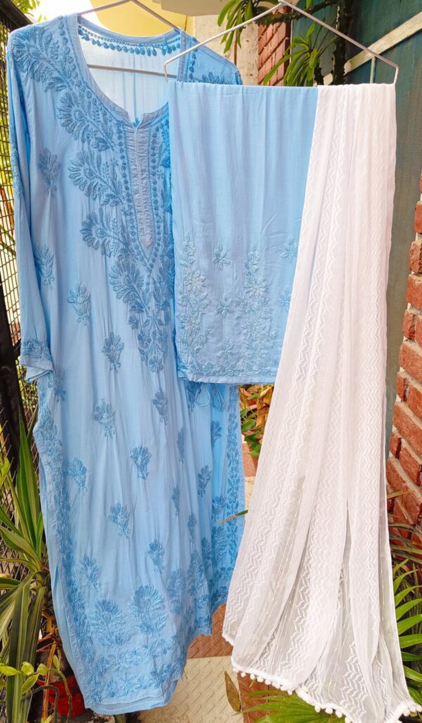 Extravagant Pastel Powder Blue Modal Chikankari Outfit