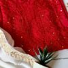 Astounding Ruby Red Mukaish Chanderi Cottton Chikankari Outfit 16 Astounding Ruby Red Mukaish Chanderi Cottton Chikankari Outfit