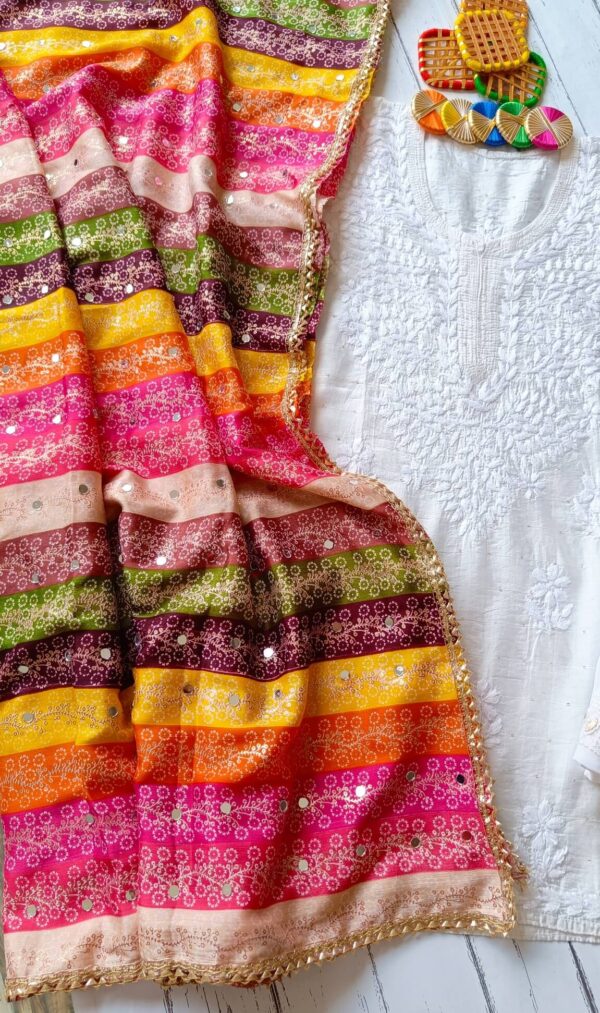 Dazzling White Multicolor Chikankari Outfit